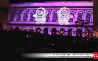 mapping-3D-fete-des-lumieres-lyon