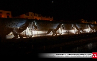 projection-mapping-3d-cathédral Orléans