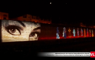 projection-mapping-3d-VLS