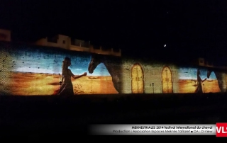 cathédral Orléans projection_mapping_3d PAR VLS