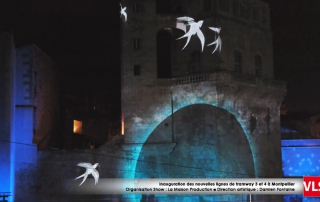 projection 3D oiseau a montpellier