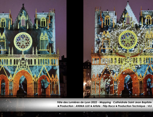 fête des lumières de Lyon  2022 Cathédrale St Jean – Time de Filip Roca