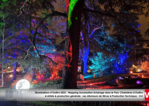 2022-Illuminations-d-Oullins-Les-Allumeurs-de-Reves